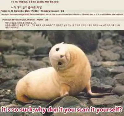 Kimeseku Dohamari Shiki-nyan