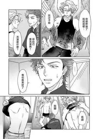 Fukurou no Koiwazurai | 猫头鹰的相思病