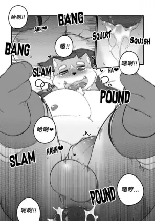 Killer Whale & Niterite 3