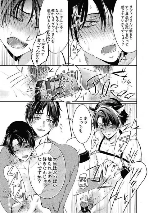 Futago neko hiroimashita