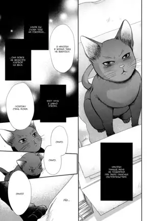 Kuroneko Kareshi no Asobikata