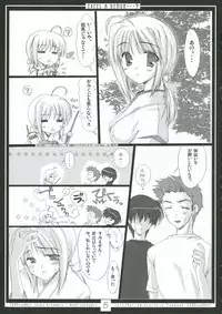 (C70) [Moehina Kagaku (Hinamatsuri Touko)] EXPEL A DEMON...? (Fate/stay night)