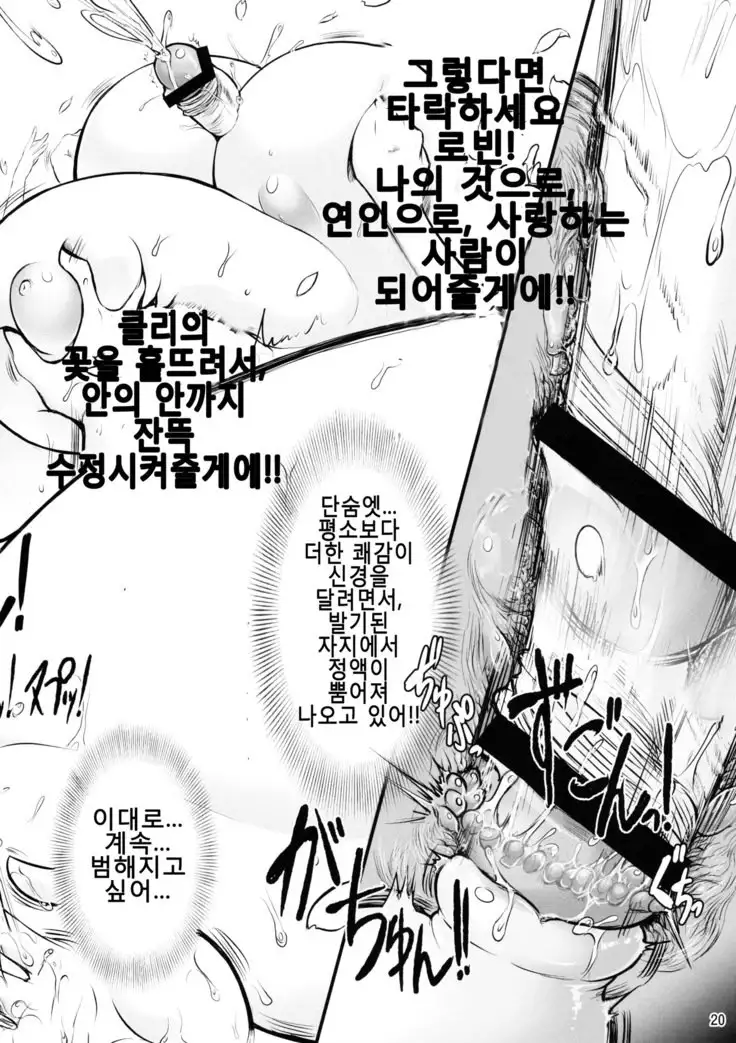 Midarezaki Joshuu Kaizoku