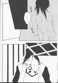 (C65) [Tax inn (Kisu Yoshimitsu)] FALLEN (Bleach)