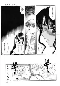 [Amayumi] Sakura Sakura