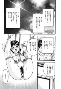 Ayla Deluxe - Vol.16