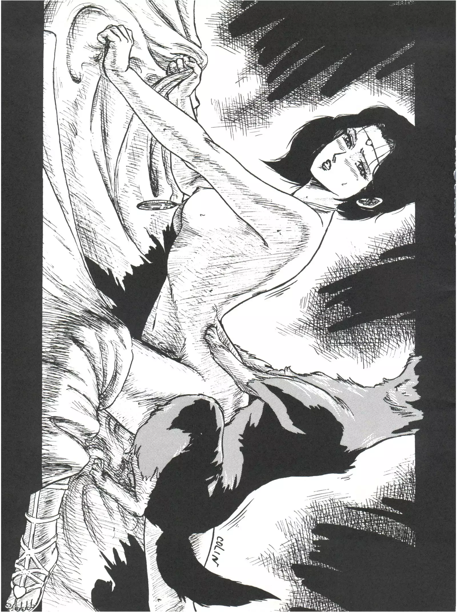 Colins Illustrated Collection