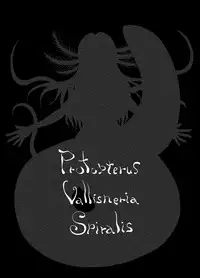 Protopterus Vallisneria Spiralis