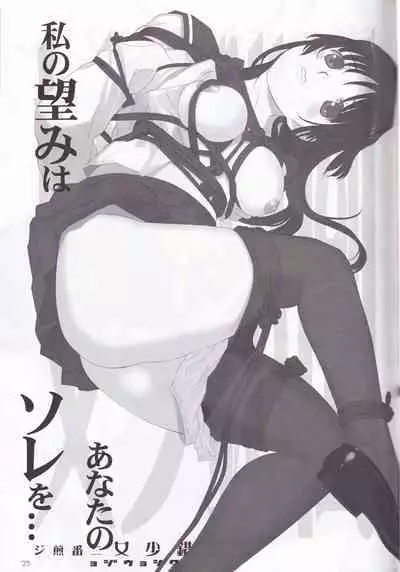 tousaku syojo 2bansenji