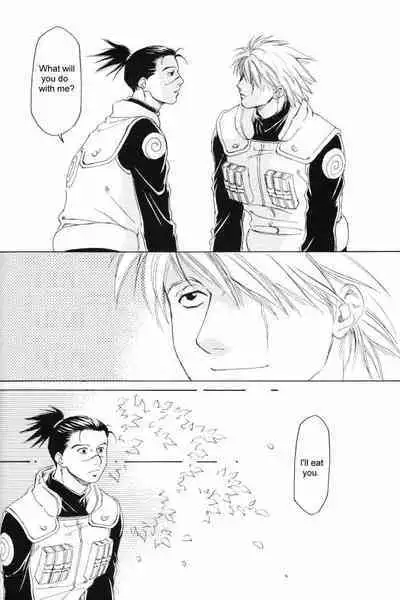 Isshuukan - Seven Days | One Week