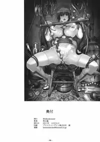 (C81) [Wolkenkratzer (bontenkarasu)] Decadence3 (Dead or Alive)