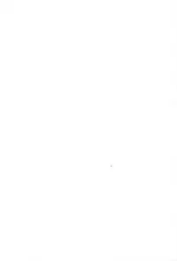 (SC32) [Inu Ringo, Nilitsu Haihan (Nilitsui)] About18cm 3rd (Fate/stay night) [English] [CGrascal]