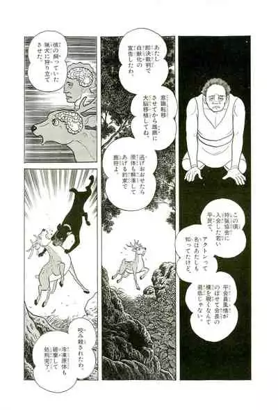 Gekiga Yapoo Koufuku