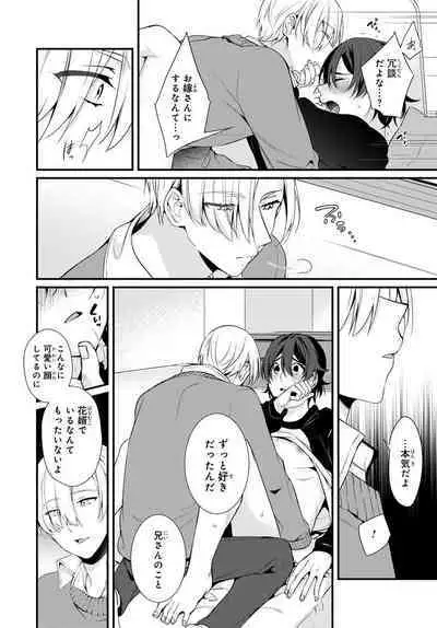 Ani o Yome ni Metorimasu ～ Kondo wa Tebanasanai ～ R18 Edition Vol. 1-4