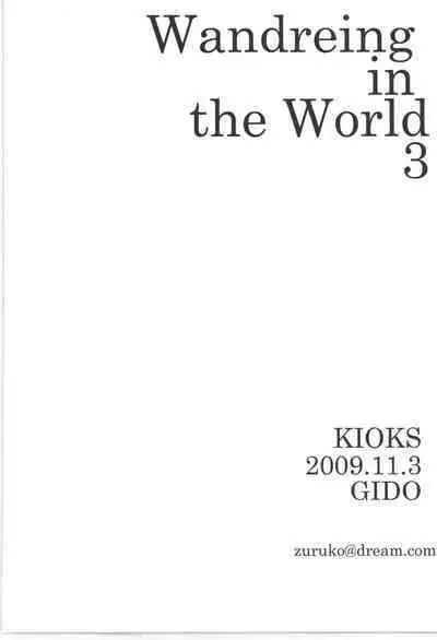 Wandering In The World 3