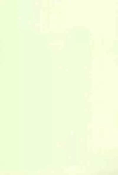 Chicchakute Ecchi Hon 3