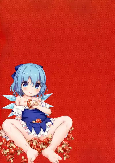 Kinokonabe Kimatteru?