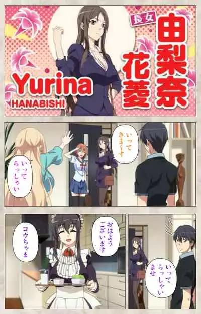 Ane Yome Quartet Kanzenban