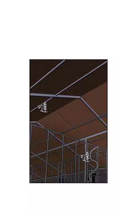 母豬養成計畫 1-30