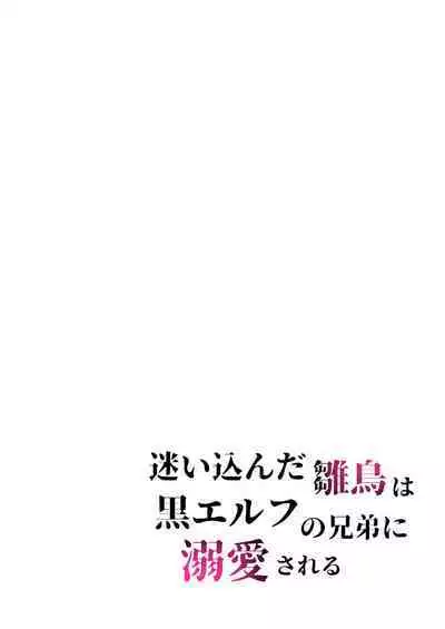 Mayoikonda hinadori wa kuro Erufu no kyodai ni dekiai sa reru | 误入的雏鸟被黑妖精兄弟溺爱 1
