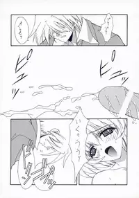 (C60) [BLUE GARNET (Serizawa Katsumi)] BLUE GARNET XV THE WORLD (Ragnarok Online)