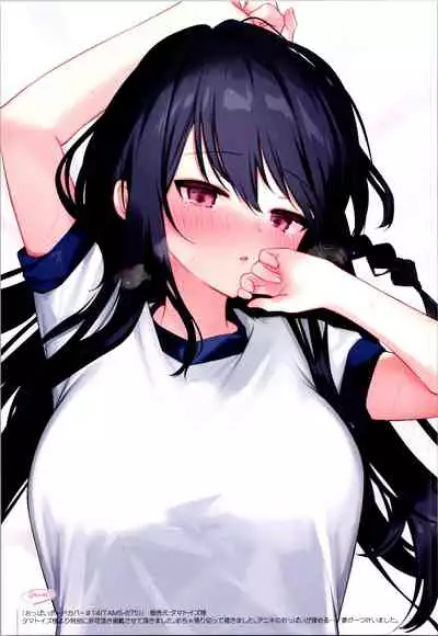 Aniki and I and an illustration summary book + Omake