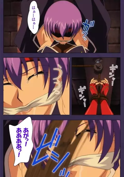 Kunoichi・Sakuya Special Complete Ban