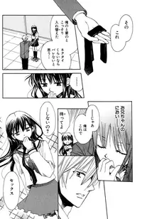 Darenimo Ienai Maru himitsu + vol.12 Forbidden Love