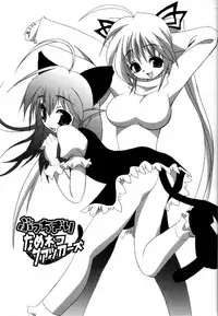 [Riki] Coquettich Shokai Genteiban