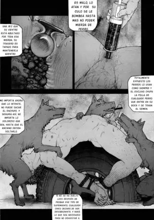 Kai Makoto Training Dog