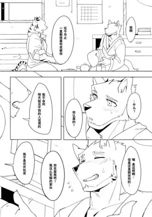 Shinya Renai | 深夜恋爱