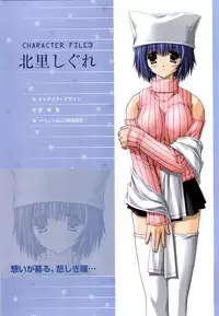 [Studio Mebius] SNOW ART WORKS