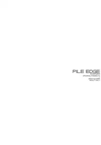 (C66) [Zankirow (Onigirikun)] PILE EDGE SHARPNESS (Chaosic Rune)