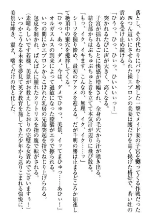 年上メイドの新婚日記