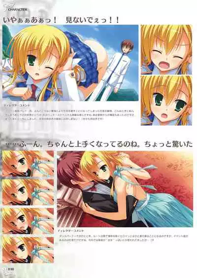 NobleWorks Official Visual Fanbook