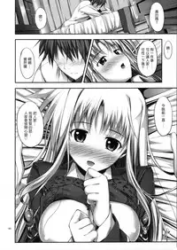 (C88) [IV VA SHIN (Mikuni Mizuki)] Home Sweet Home ~Soushuuhen~ (Mahou Shoujo Lyrical Nanoha) [Chinese] [Drz漢化]