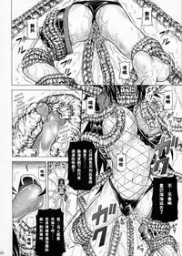 (C90) [Yokohama Junky (Makari Tohru)] Solo Hunter-tachi no Seitai (Monster Hunter) [Chinese] [中国翻訳] [VK1062喵&萌紋 漢化]