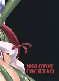(C84) [Molotov Cocktail (Oowada Tomari)] Blade Blade V (Queen's Blade) [Chinese] [上校个人汉化]