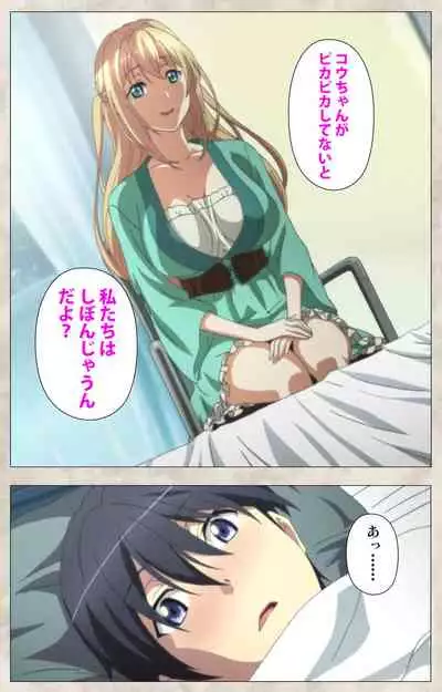 Ane Yome Quartet Kanzenban