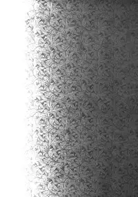 (SPARK7) [spinner (Ishigami Nie)] Kirei na Ou-sama Okinodoku (Magi: The Labyrinth of Magic)