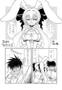 [PH-Bu] pretty Beam!