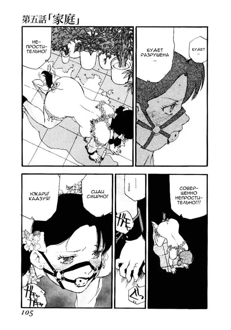 Volunteer Breeding Ch.5