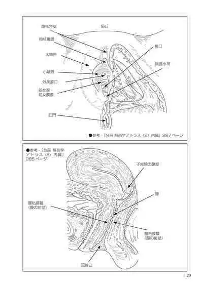 大人のお医者さんごっこ 検査・測定編