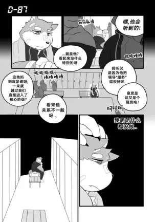 Killer Whale & Niterite 3