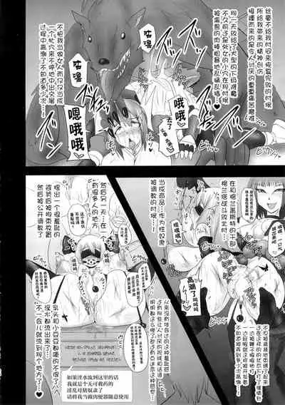Shield Knight Elsain Vol. 18 Injuu no Jukokuin 2