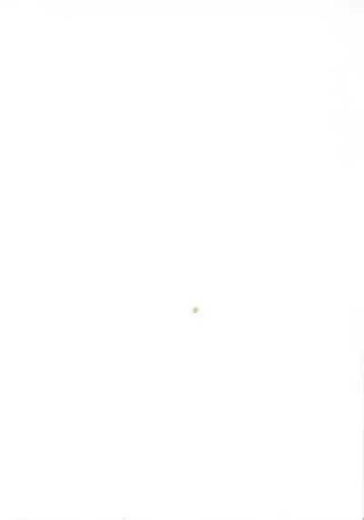 (COMITIA103) [CassiS (RIOKO)] Kioku no Kakera - Fragments of Memory (Final Fantasy XIII)