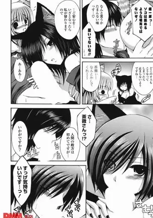 オトメ解禁日 しーざー