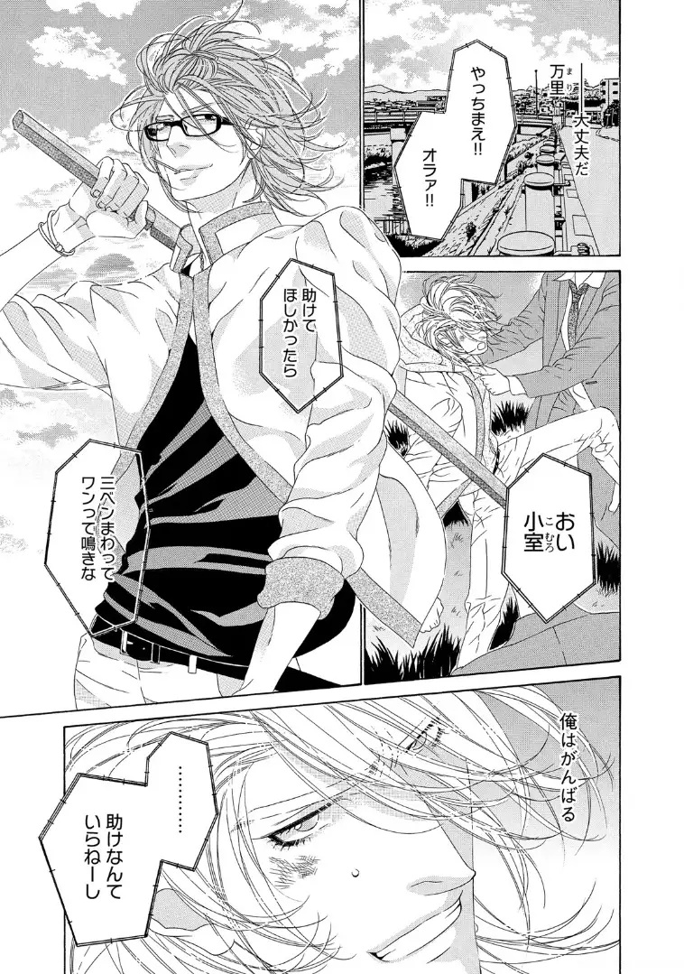 STAR☆Knight | スタア☆ナイト