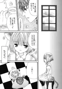 [Kotori Kirihara] Seijunbyou