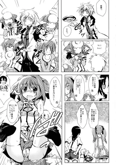 D4 DISC DOG DAYS DASH